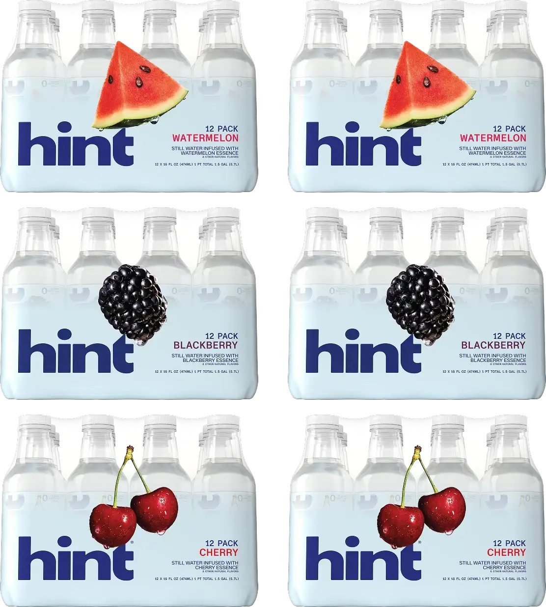 hint® water top sellers 6 case bundle