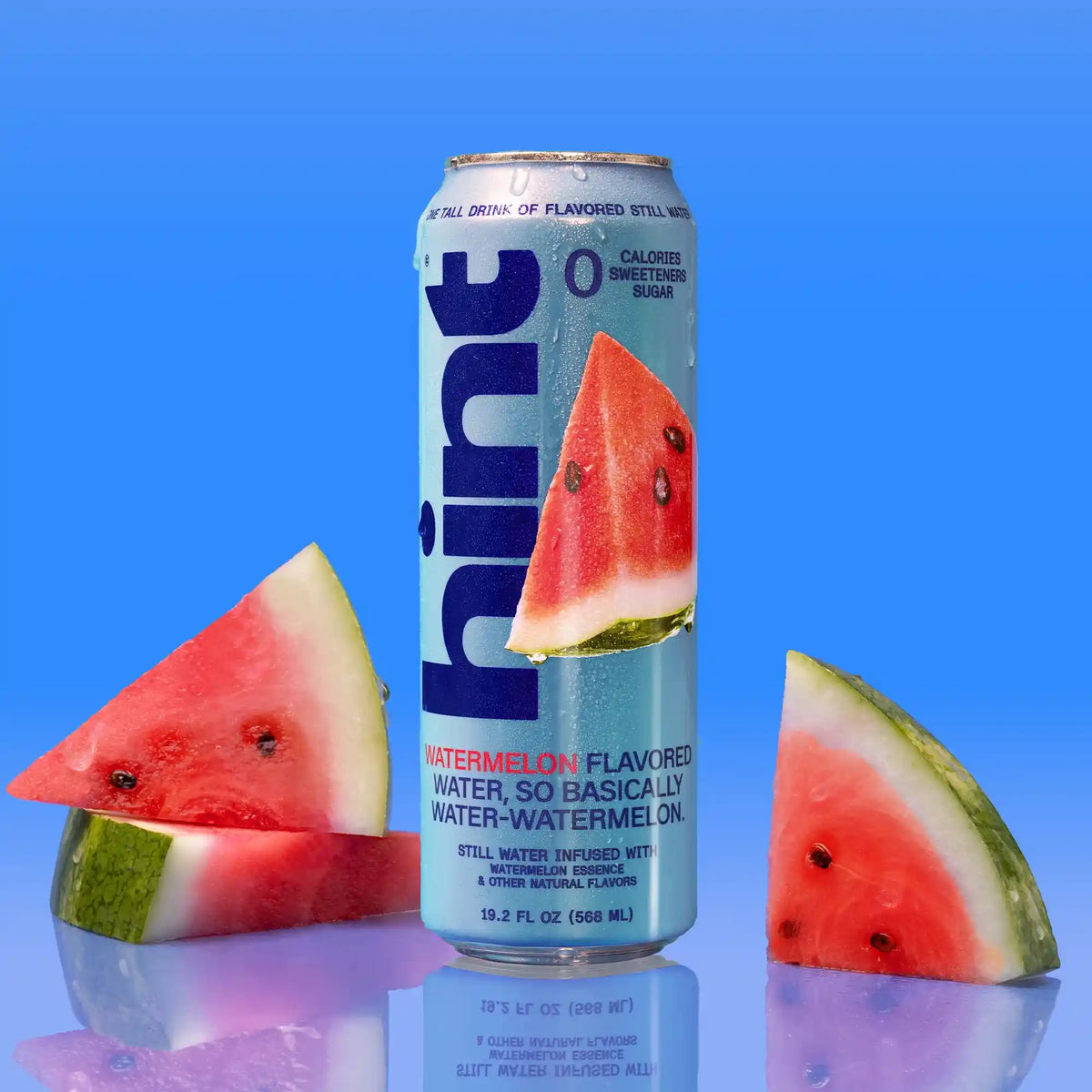 hint® Watermelon water - 12 pack 19.2oz still cans